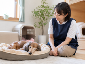 少数制で一頭一頭に寄り添うケア